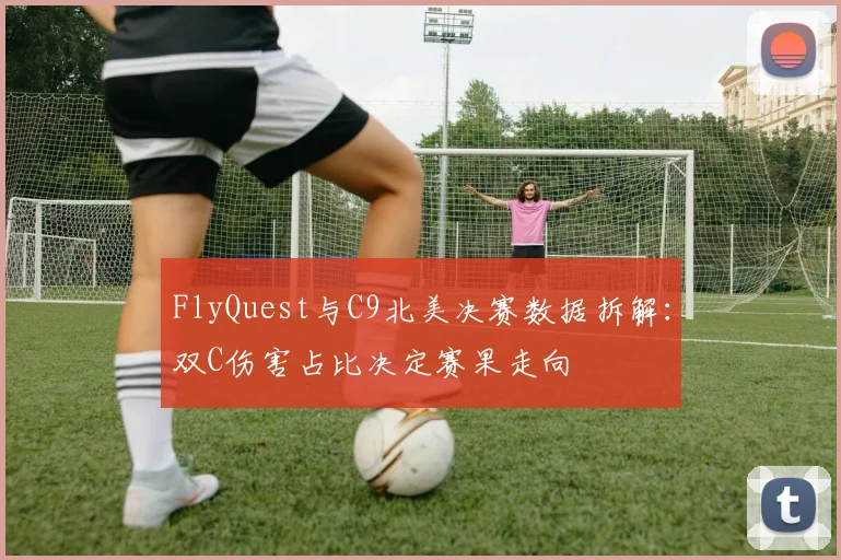 FlyQuest与C9北美决赛数据拆解：双C伤害占比决定赛果走向