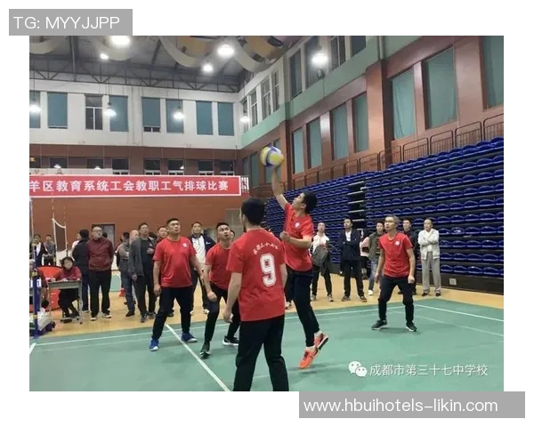 广州排球队在全国排球团队协作排行榜中荣获第七名的佳绩分析